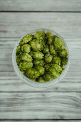 fresh bio hop