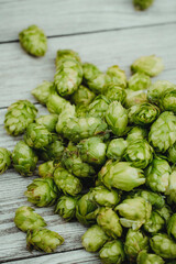 Obraz premium fresh bio hop