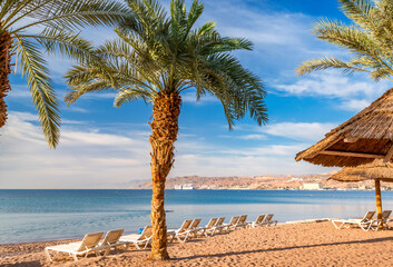 Sandy and sunny beach of the Red Sea with sunshades, chairs and deck-chairs for happy vacation after travel restrictions due to epidemic illness, Red Sea, Middle East - 487278215