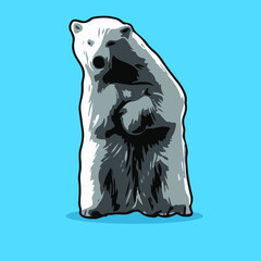 Polar bear