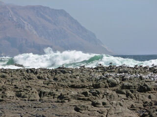 Photograph taken on a sunny day around Arica City at Chili, showing the architecture and colours of this historical place. Streets, beach, cemetery, desert, houses, square.