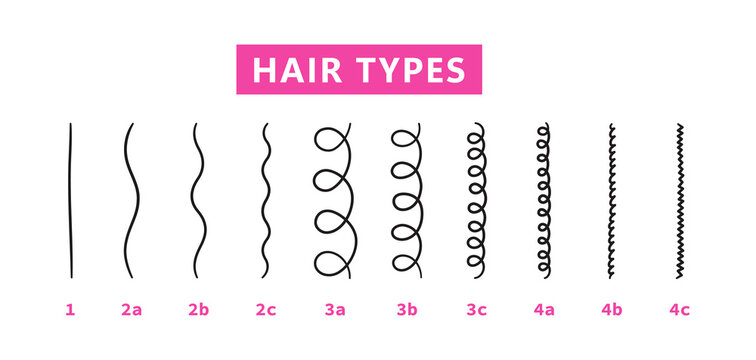 Classification of hair types - straight, wavy, curly, kinky. Scheme of different types of hair. Curly girl method. Vector illustration on white background.