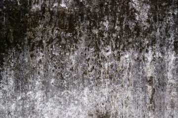 Textured dirty rough cement concrete background. Grunge wall for pattern and background.