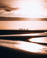 Group of friends walking on the beach at sunset