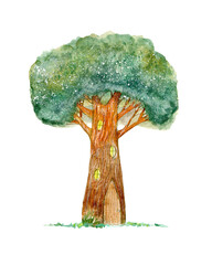 Oak.Deciduous tree.Watercolor hand drawn illustration.White background.	 - 487283400
