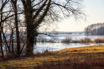 Poranek nad Biebrzą, Podlasie, Polska