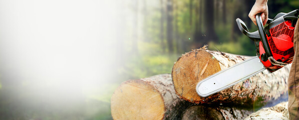 Woodcutter saws tree with chainsaw on sawmill. Close up man is cutting a tree, blurred forest in background. Wider banner with copy space.