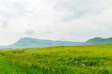 Obraz premium Beautiful steppe landscape: meadow, hills and sky. Khakassia, Russia.