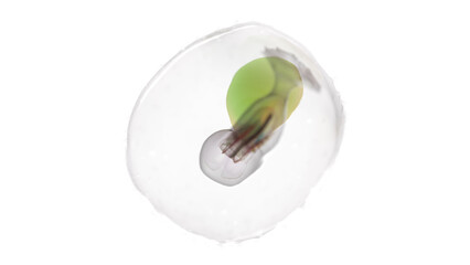 3d rendered medically accurate illustration of a human embryo - week 3