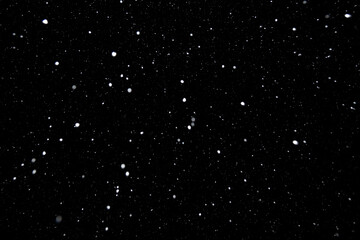 Real falling white snow against black night sky in the winter. Snowing at dark.