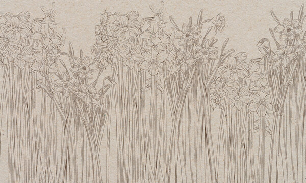 Fototapeta Graphic daffodils flowers painted on a brown old paper. Floral background. Design for wall mural, card, postcard, wallpaper, photo wallpaper.