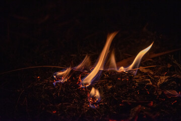 burning leaves on the ground