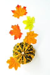 Pumpkin decorative isolated image. Pumpkin for decor and decoration