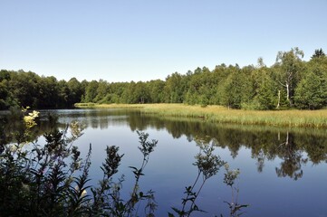 Fototapeta premium Das schwarze Moor in der Rhön