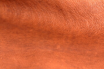 the texture of genuine calfskin of the highest quality of dressing