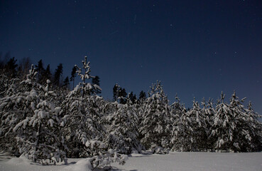 Snowy night landscape image with starry sky. Moon glowing in the dark making the snowy ground glitter. Silence in the wilderness.