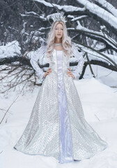 Fototapeta na wymiar Snow Queen cosplay in the winter forest background. Art photo