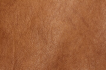 the texture of genuine calfskin of the highest quality of dressing