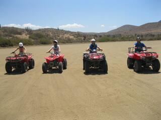 quad bikes in the desert © David