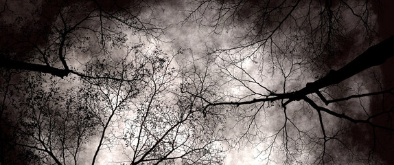 In the eerie black and white landscape, the foggy sky is filled with many dead trees. Double exposure creative hologram. - Powered by Adobe