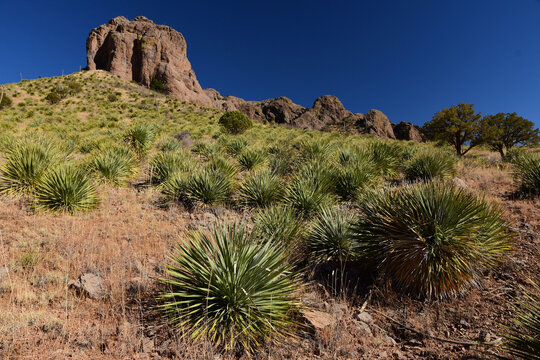 hiking the scenic soledad canyon trail  on a sunny winter day  in the organ peaks-desert peaks national monument near las cruces in southern new mexico
