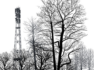 electric tower in bare forest on white