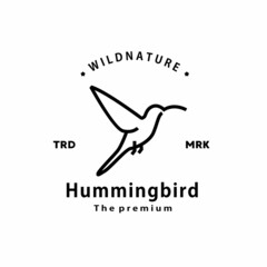 vintage retro hipster hummingbird logo vector outline monoline art icon