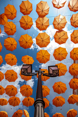 Colorful orange umbrellas isolate on white background