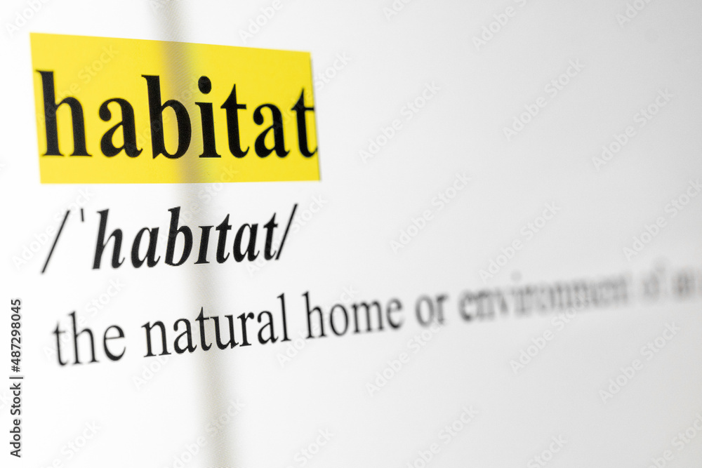 Fototapete habitat text macro shot highlighted in yellow color on computer screen