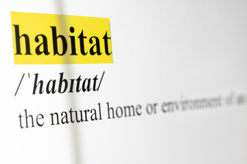 Habitat Text Macro Shot Highlighted in Yellow Color On Computer Screen