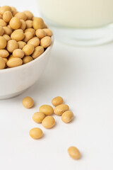 High protein product soybeans as ingrediant of vegetable milk. Dry, raw soybean, soy bean one of types asian legume in bowl  on white background focus selective photo