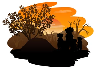 Silhouette savanna forest with meerkat © blueringmedia