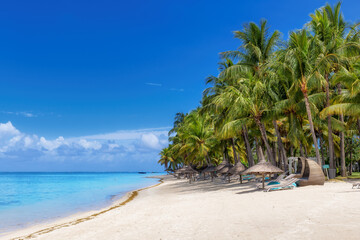 Coco palm trees in Paradise beach and tropical sea in Mauritius island. Summer vacation and tropical beach concept.