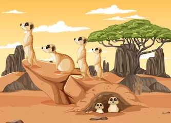 Desert background with a group of meerkats © blueringmedia