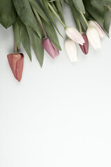 Banner with bouquet of tulips in pink and white colors. Concept of spring, Women's Day, Mother's Day, 8 March, the holiday greetings