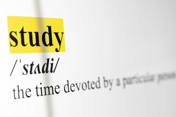 Study Text Macro Shot Highlighted in Yellow Color On Computer Screen