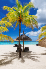 Tropical Beach. Sunny beach with palm and turquoise sea. Summer vacation and tropical beach...