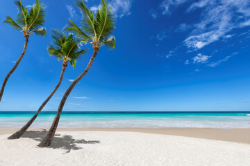 Three palm trees on sunny tropical beach. 