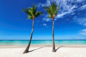 Tropical Sunny beach with coco palms, blue sky and the turquoise sea on Caribbean island. Summer vacation and travel concept.