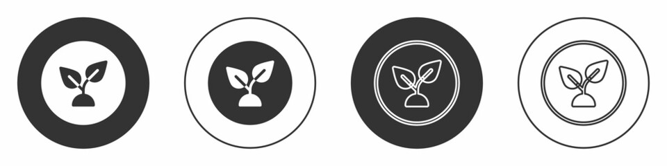 Black Plant based icon isolated on white background. Circle button. Vector