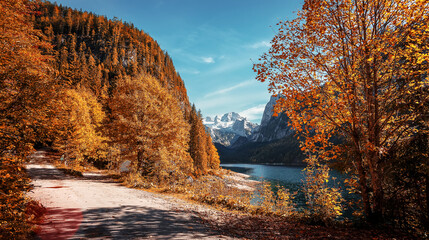 Wonderful Sunny Autumn landscape. Stunning view on alpine lake, colored trees and snowy mountain on background. Amazing nature scenery. Creative image. Nature background. Ideal resting place. - 487301086