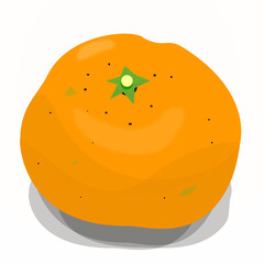 陰影のあるオレンジのイラスト
