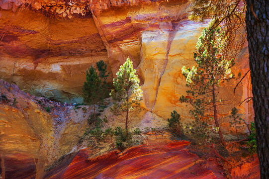 Magnificent colors of Rustrel canyon ocher landscape. Provencal Colorado near Roussillon in Southern France. Earth beauty background. Selective focus on tree.