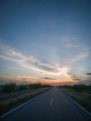 Fototapeta premium atardecer en el campo