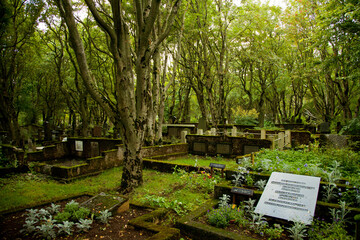 Islande, cimeti&egrave;re Reykjavik