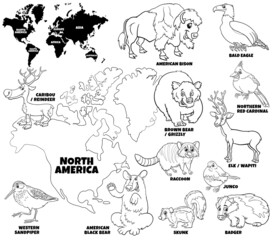 cartoon North American animals set coloring book page