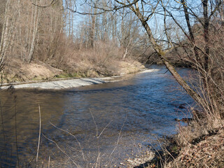 auwald an der naturnahen ammer bei polling, oberbayern