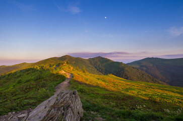 Green Bieszczady, View from Bukowe Berdo sunny day, Spring in the mountains © uranos1980