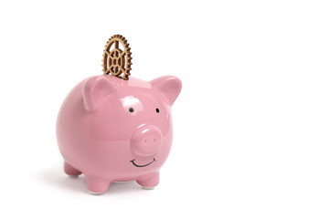 Piggy bank and gear in place coin on a white background.Concept financial progress.