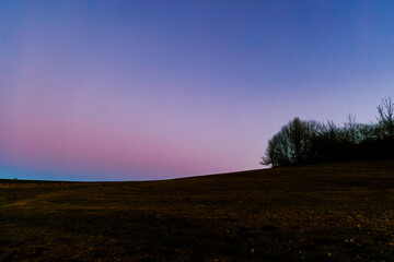 Fototapeta na wymiar Slightly curved meadow at the edge of the forest under cloudless sky in the evening at blue hour